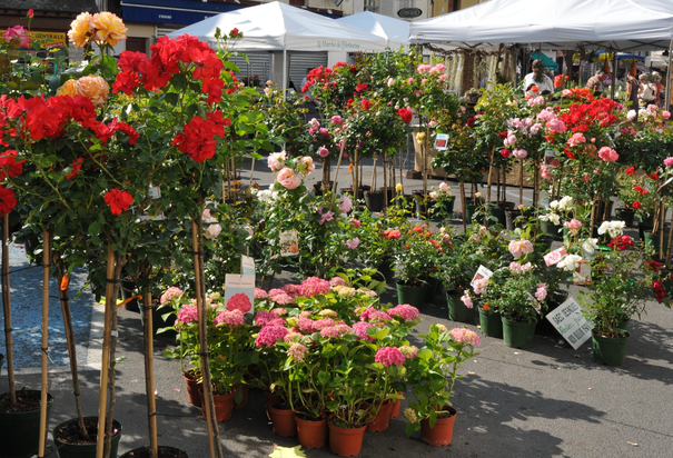 Image événement labouture