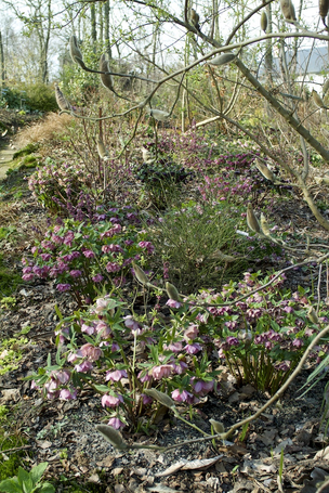 Image événement labouture