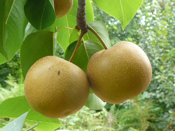 Image événement labouture