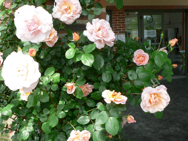 Image événement labouture