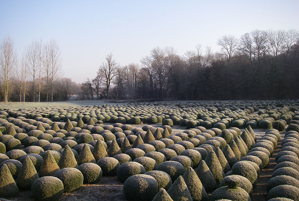 Image événement labouture