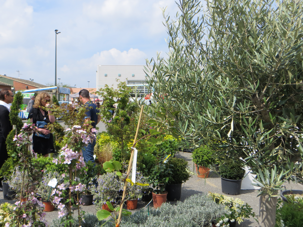 Image événement labouture