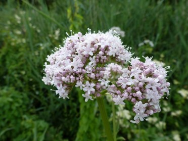 Image événement labouture