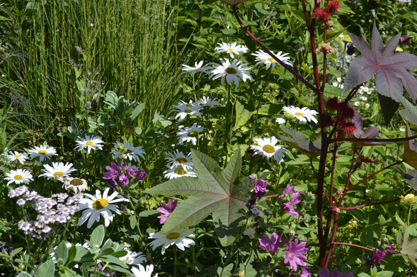 Image événement labouture