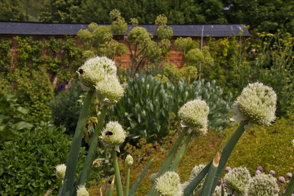 Image événement labouture