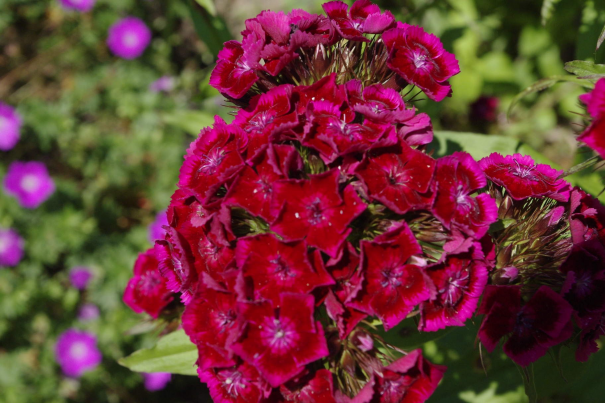 Image événement labouture