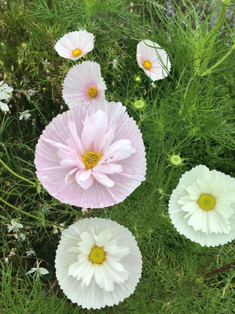 Image événement labouture