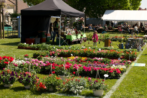 Image événement labouture