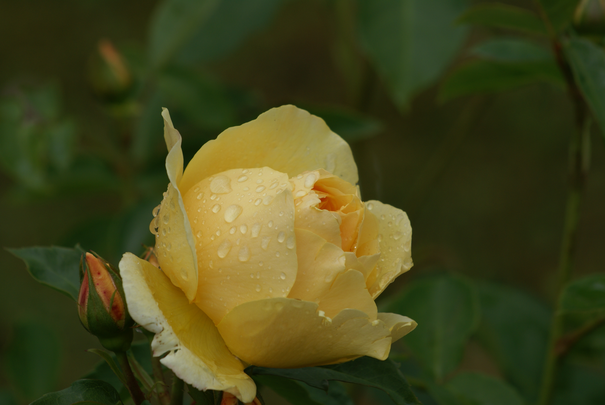 Image événement labouture