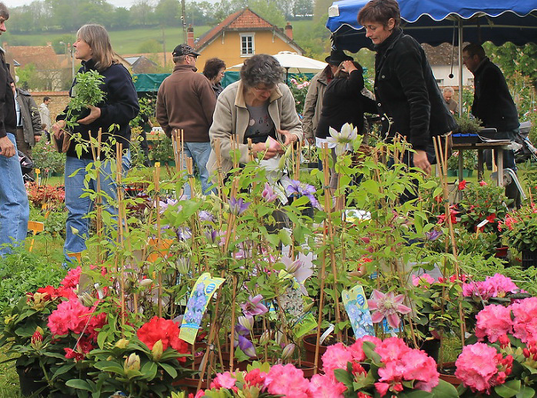 Image événement labouture