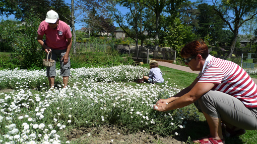 Image événement labouture