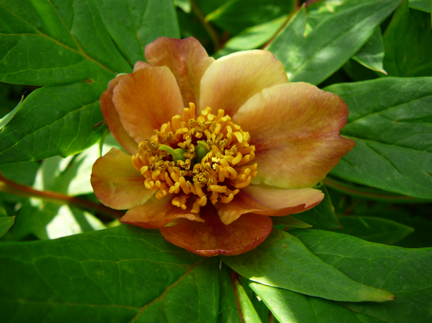 Image événement labouture