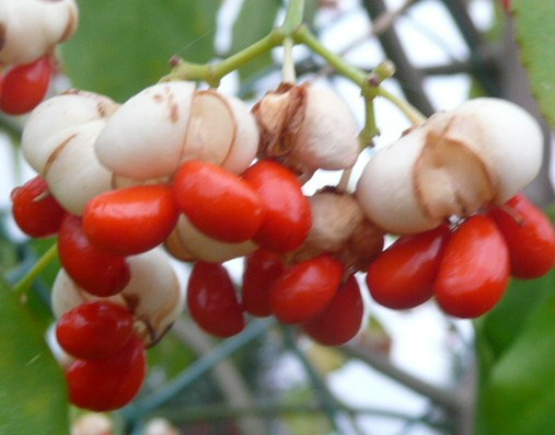 Image événement labouture