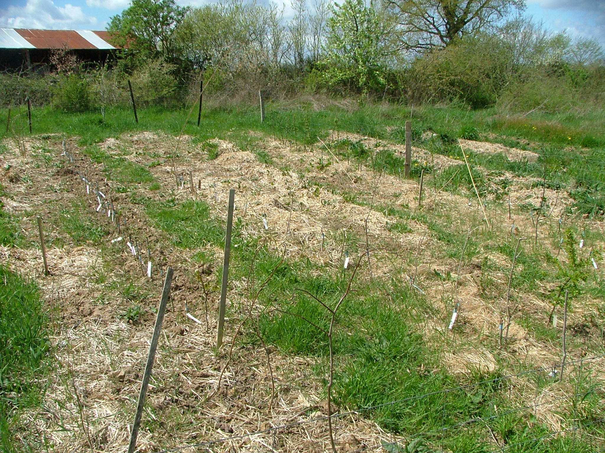 Image événement labouture