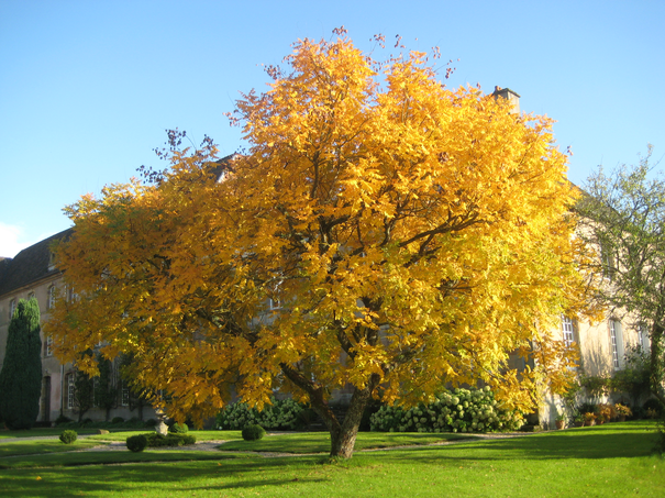 Image événement labouture