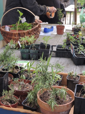 Image événement labouture