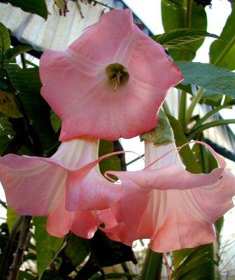 Image événement labouture