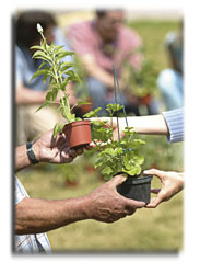 Image événement labouture