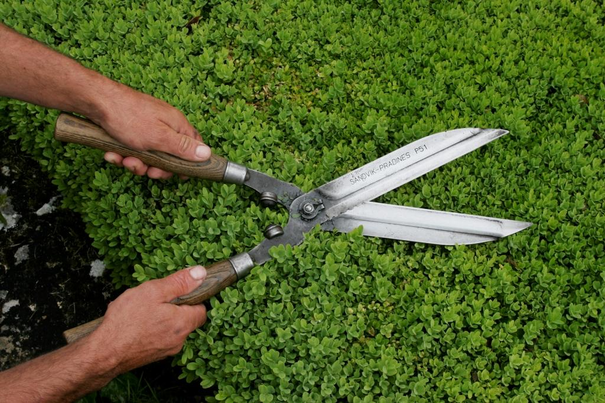 Image événement labouture