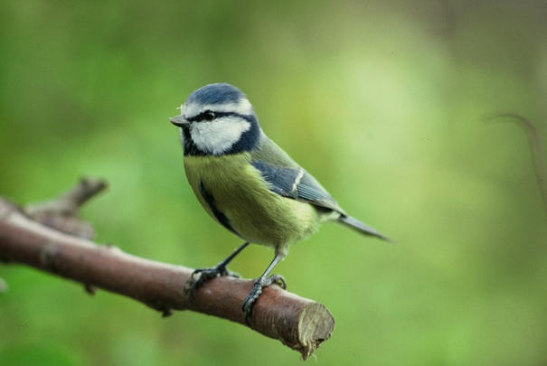 Image événement labouture