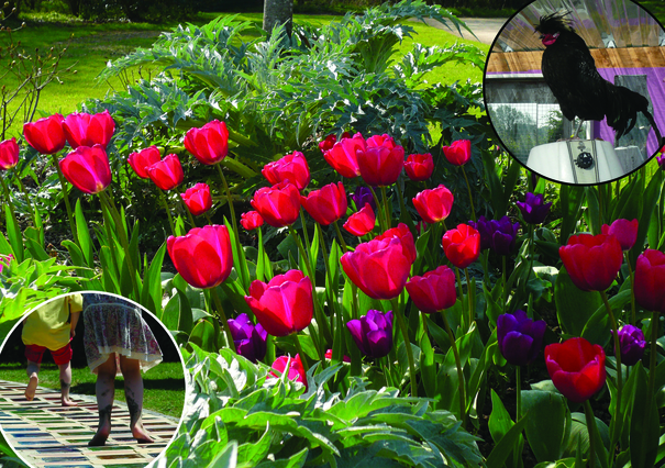 Image événement labouture