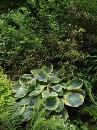 Image événement labouture