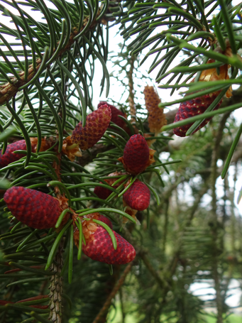Image événement labouture