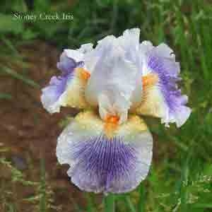 Image événement labouture