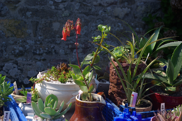 Image événement labouture