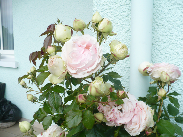 Image événement labouture