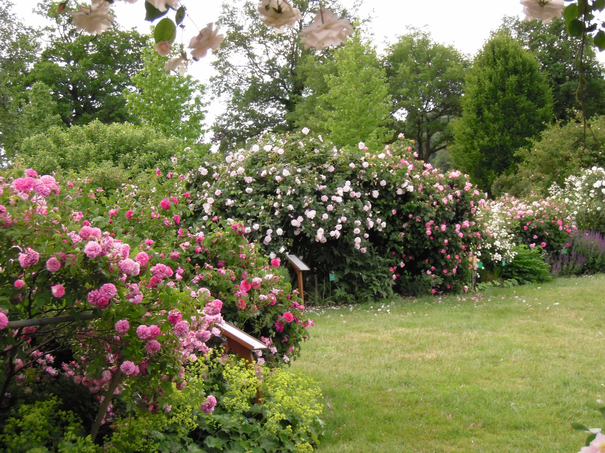 Image événement labouture