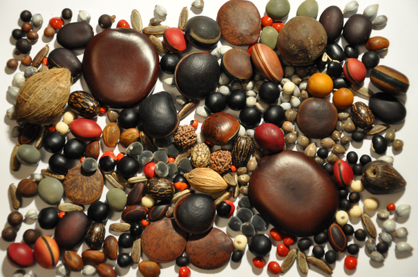 Image événement labouture