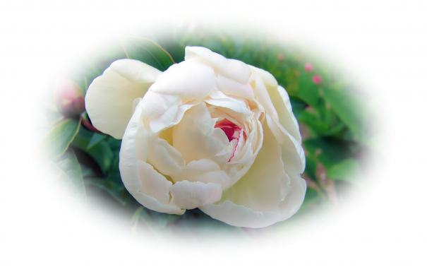 Image événement labouture