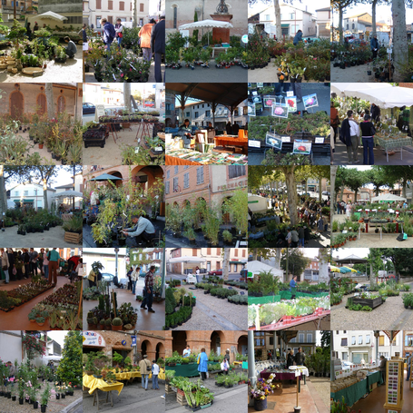 Image événement labouture