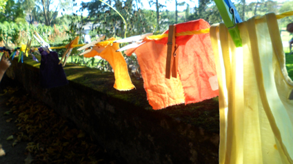 Image événement labouture