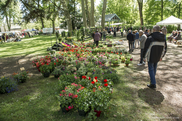 Image événement labouture