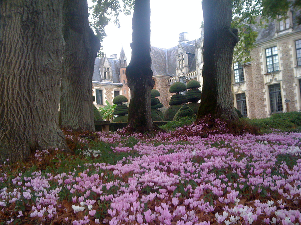 Image événement labouture