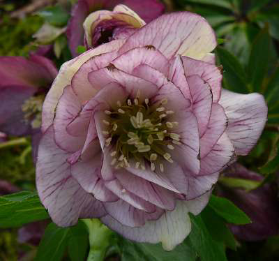 Image événement labouture