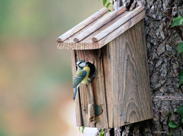 Image événement labouture