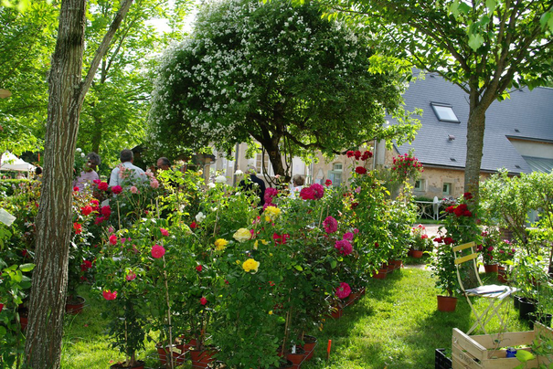Image événement labouture