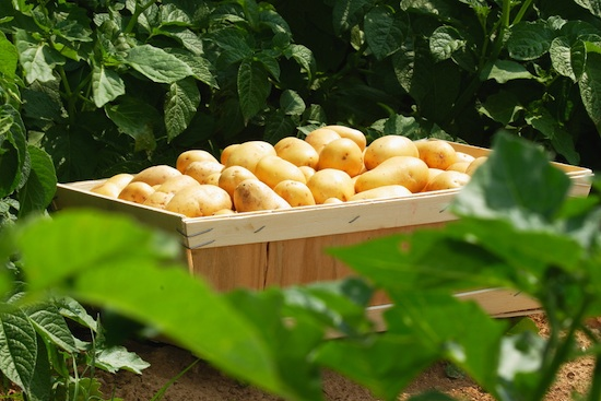 Image événement labouture