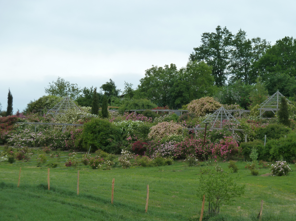 Image événement labouture