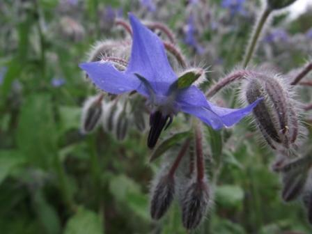 Image événement labouture