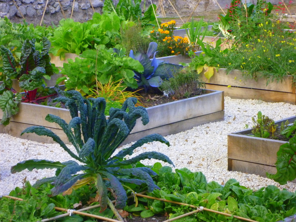 Image événement labouture