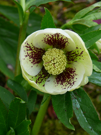 Image événement labouture