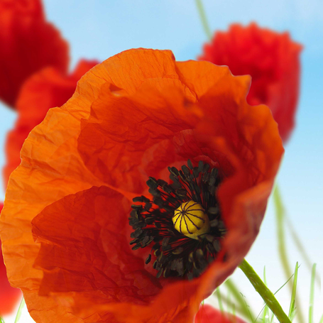 Image événement labouture