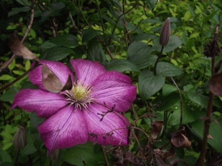 Image événement labouture