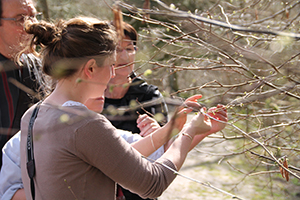 Image événement labouture