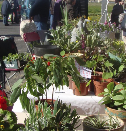 Image événement labouture