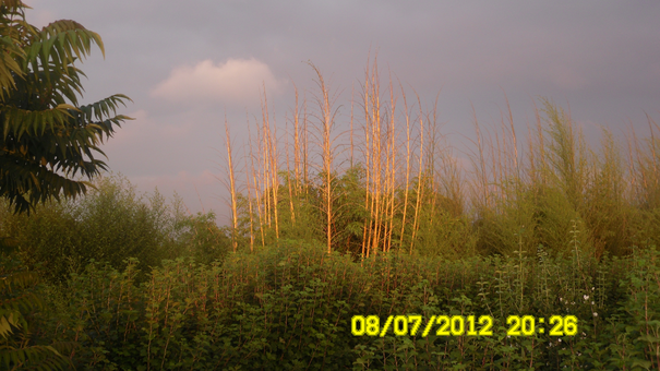 Image événement labouture